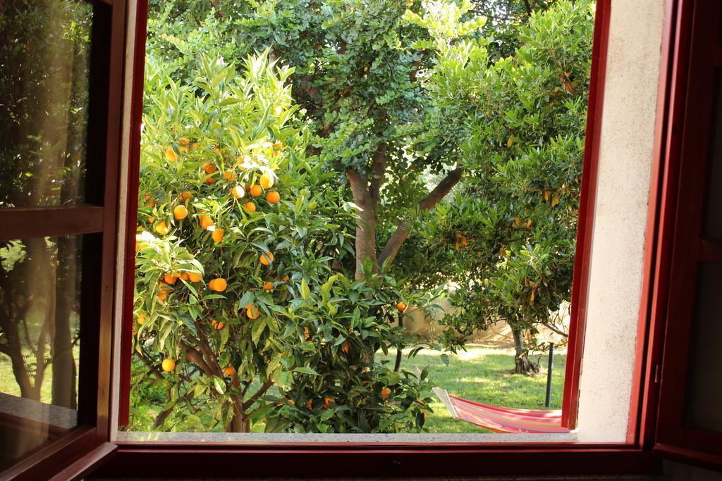 B&B I Mari Torpè Εξωτερικό φωτογραφία