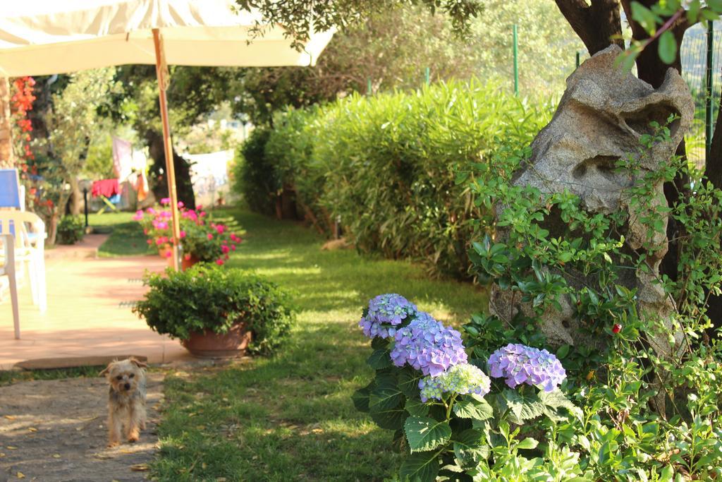 B&B I Mari Torpè Εξωτερικό φωτογραφία