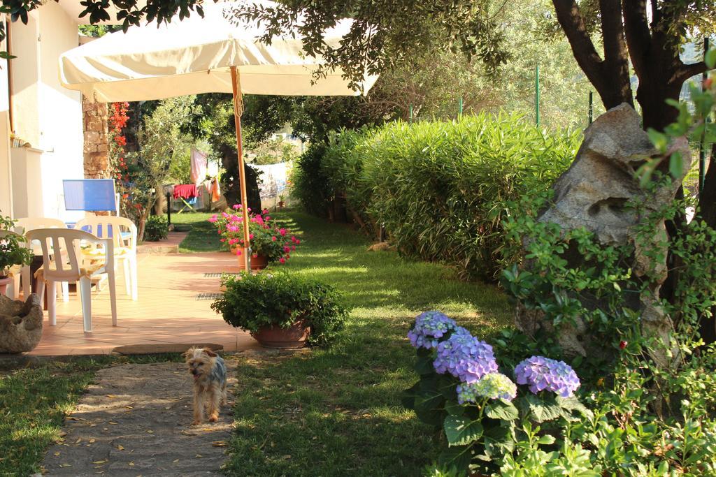 B&B I Mari Torpè Εξωτερικό φωτογραφία