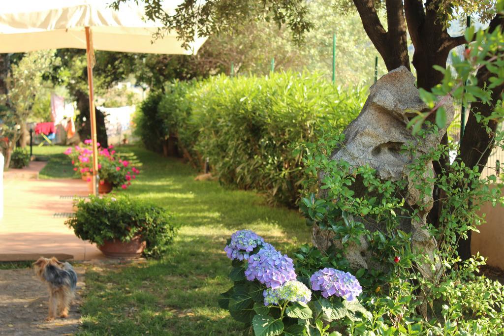 B&B I Mari Torpè Εξωτερικό φωτογραφία