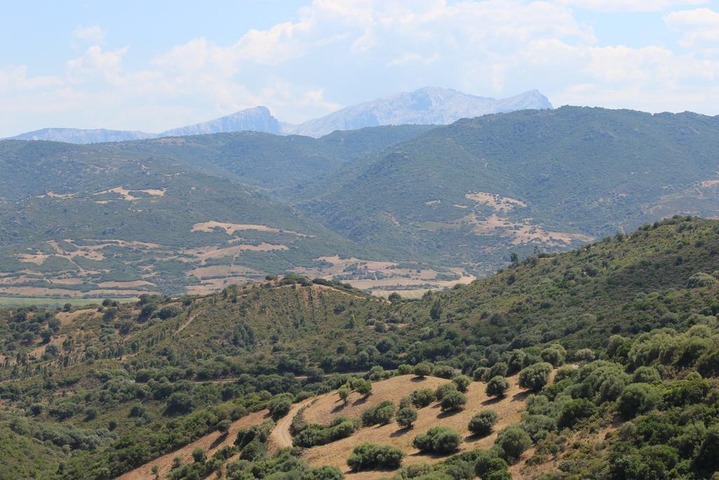 B&B I Mari Torpè Εξωτερικό φωτογραφία